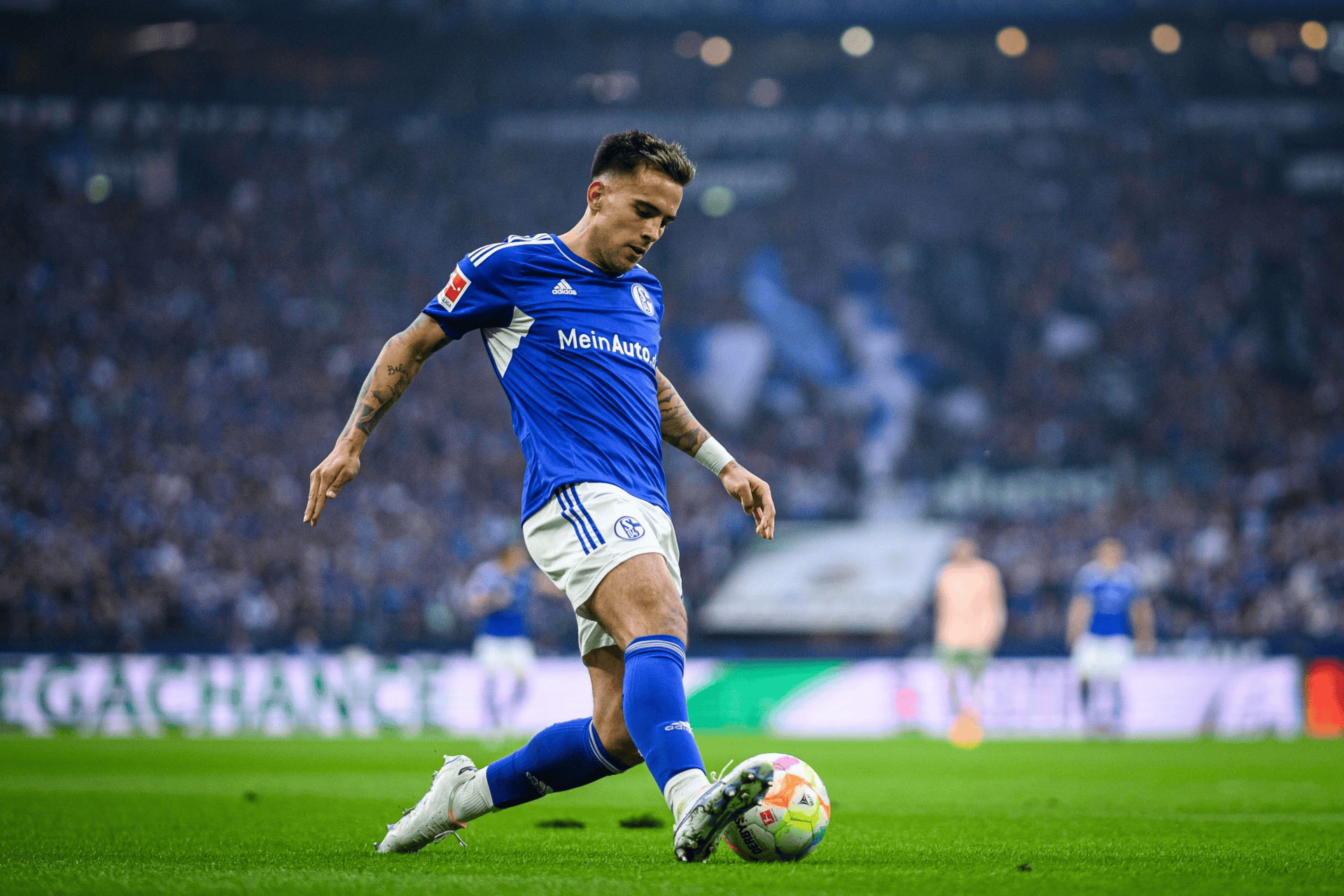 包含荷甲今夜再迎强敌，夏洛特黄蜂内部沟通，主帅态度：赛场秩序良好，阵容厚度经受考验的词条