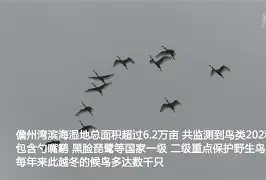 KQ╡裈{萠?羣勺簿o9